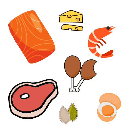 keto diet proteins