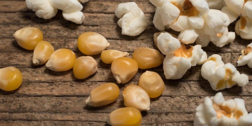 popcorn on keto diet popcorn on keto diet
